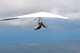 Hang Gliding